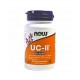 UC-II Type II Collagen 40mg (60 caps)